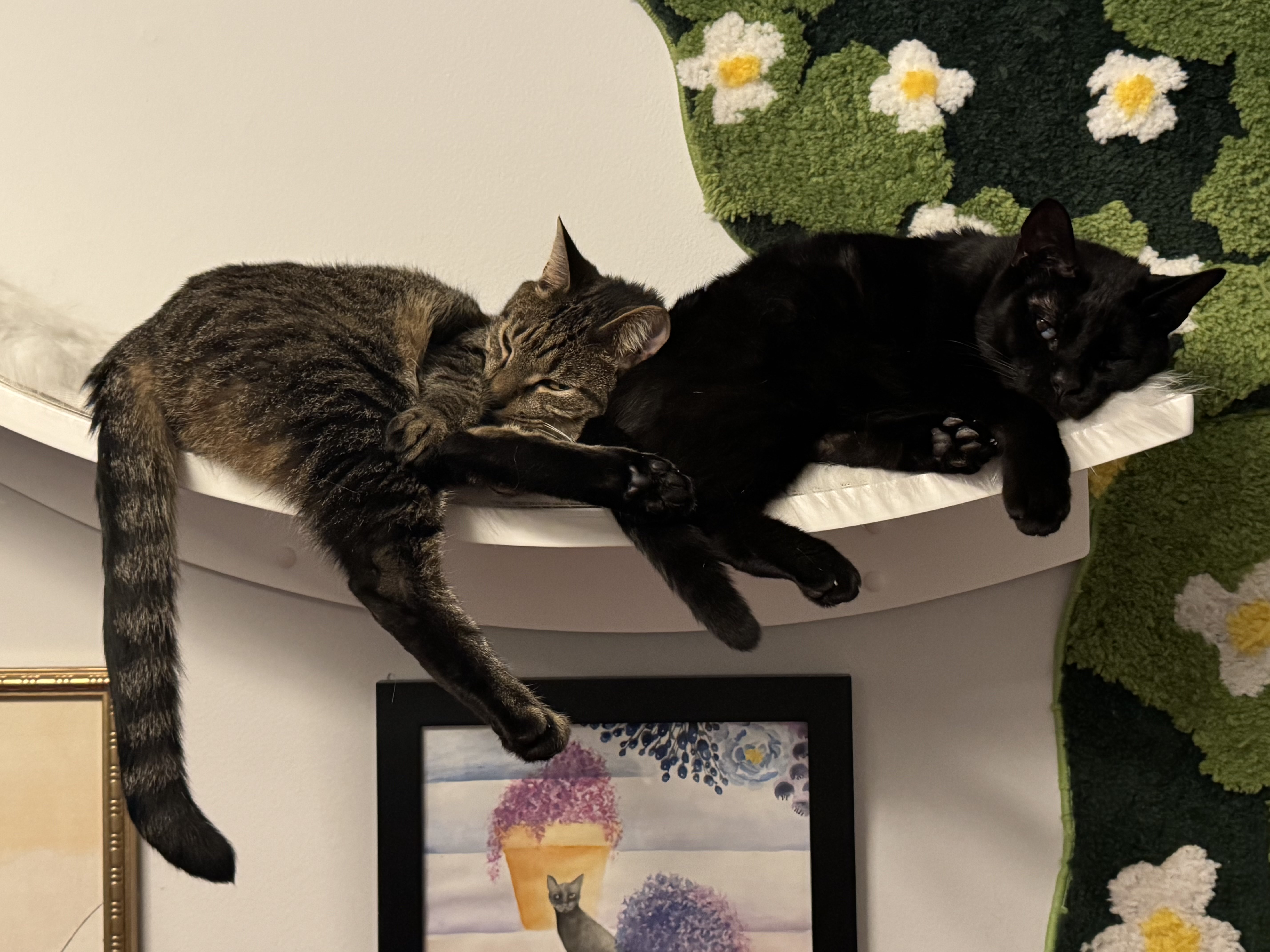 Odin and Dio