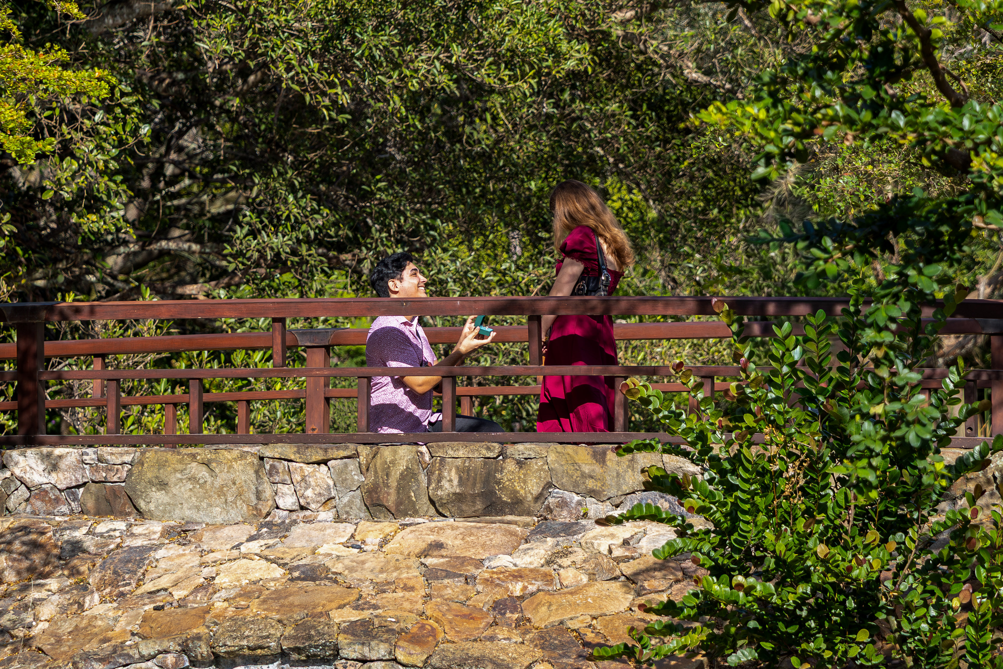 Proposal